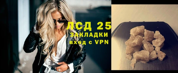 индика Заводоуковск