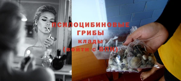 mdpv Елизово