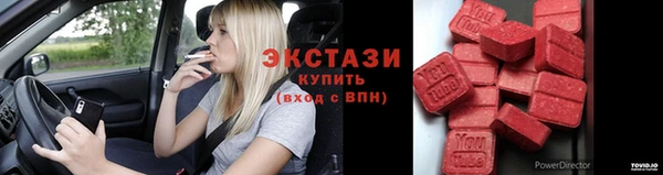 индика Заводоуковск