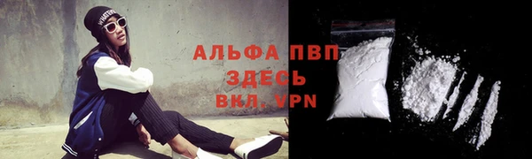гидра Елабуга