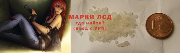 индика Заводоуковск