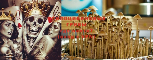 гидра Елабуга