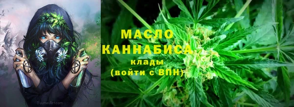 индика Заводоуковск