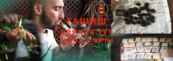 гидра Елабуга