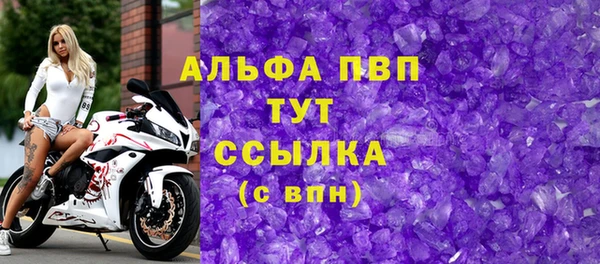 гидра Елабуга