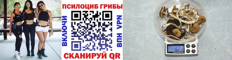 ОМГ ОМГ вход  Черепаново  Псилоцибиновые грибы прущие грибы 